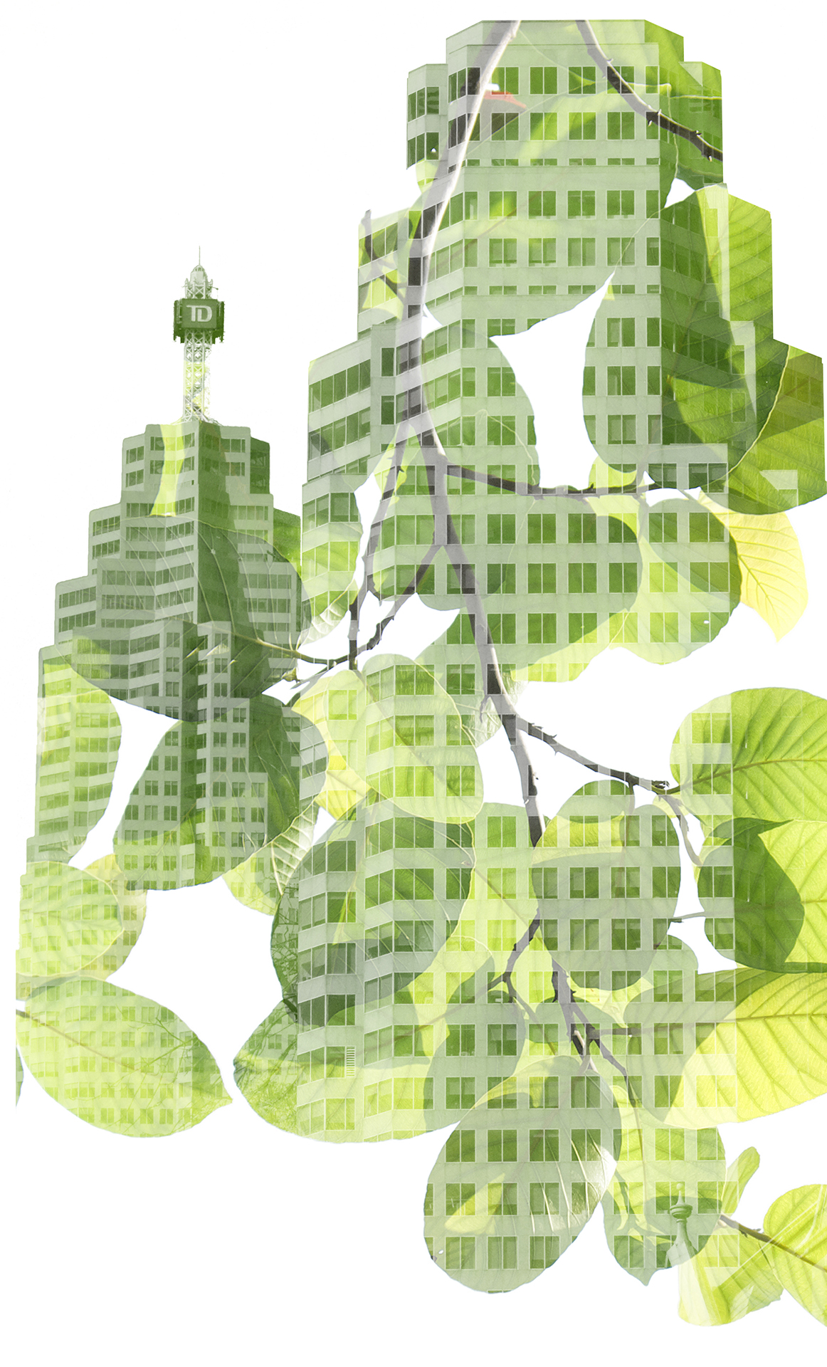 Decorative image of a building made of leaves