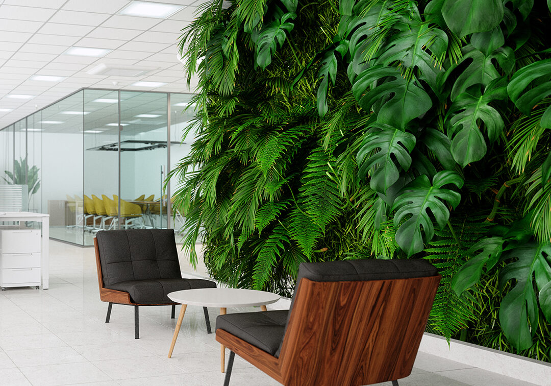 Decorative image of an office space with black leather and rosewood midcentury modern chairs and a growing green wall