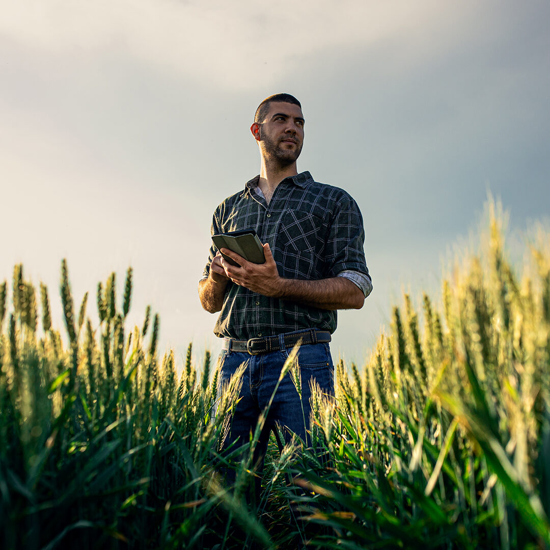 Decorative image of a man in a wheat field wearing a plain shirt holding a tablet