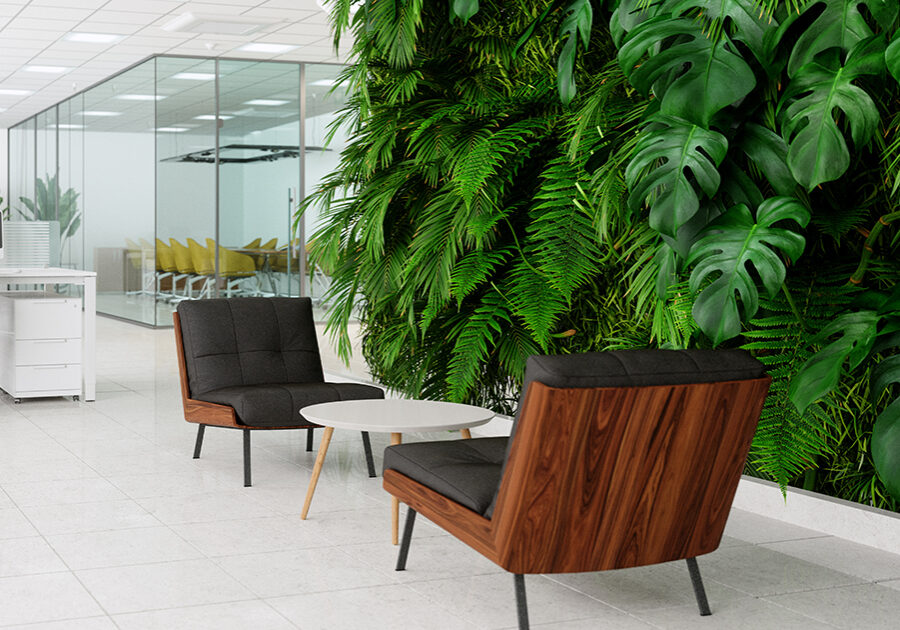 Decorative image of an office space with black leather and rosewood midcentury modern chairs and a growing green wall